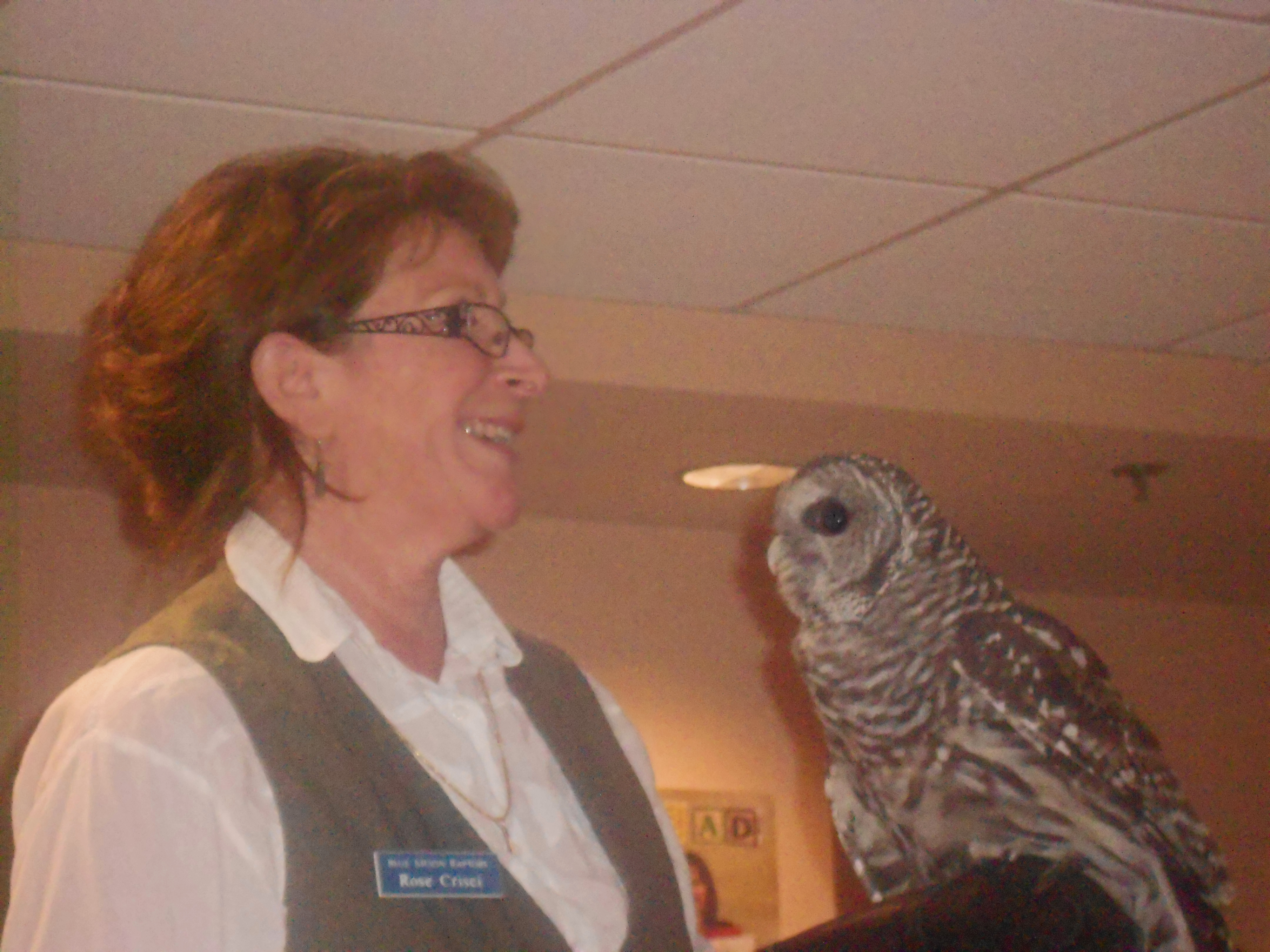 Rose with Barred owl